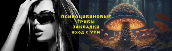прущая мука Корсаков