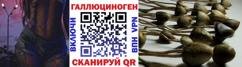 Купить где Белоусово Галлюциногенные грибы мицелий